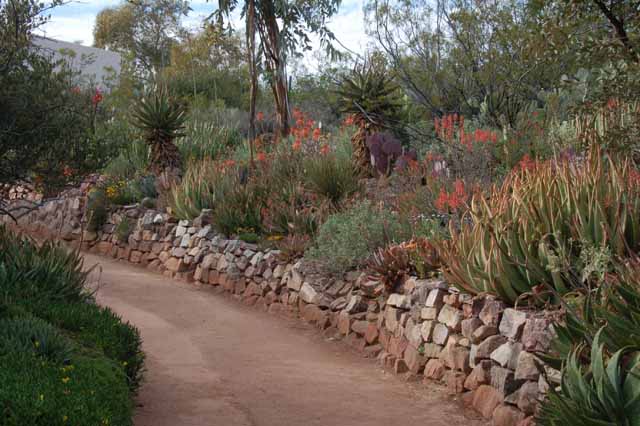 on the Main Trail